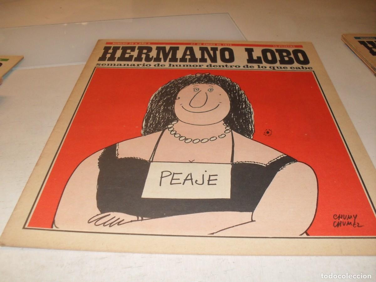 Tebeos: HERMANO LOBO N&ordm; 38,DE 213,HUMOR SATIRICO.PLEYADES EDITORES,1972