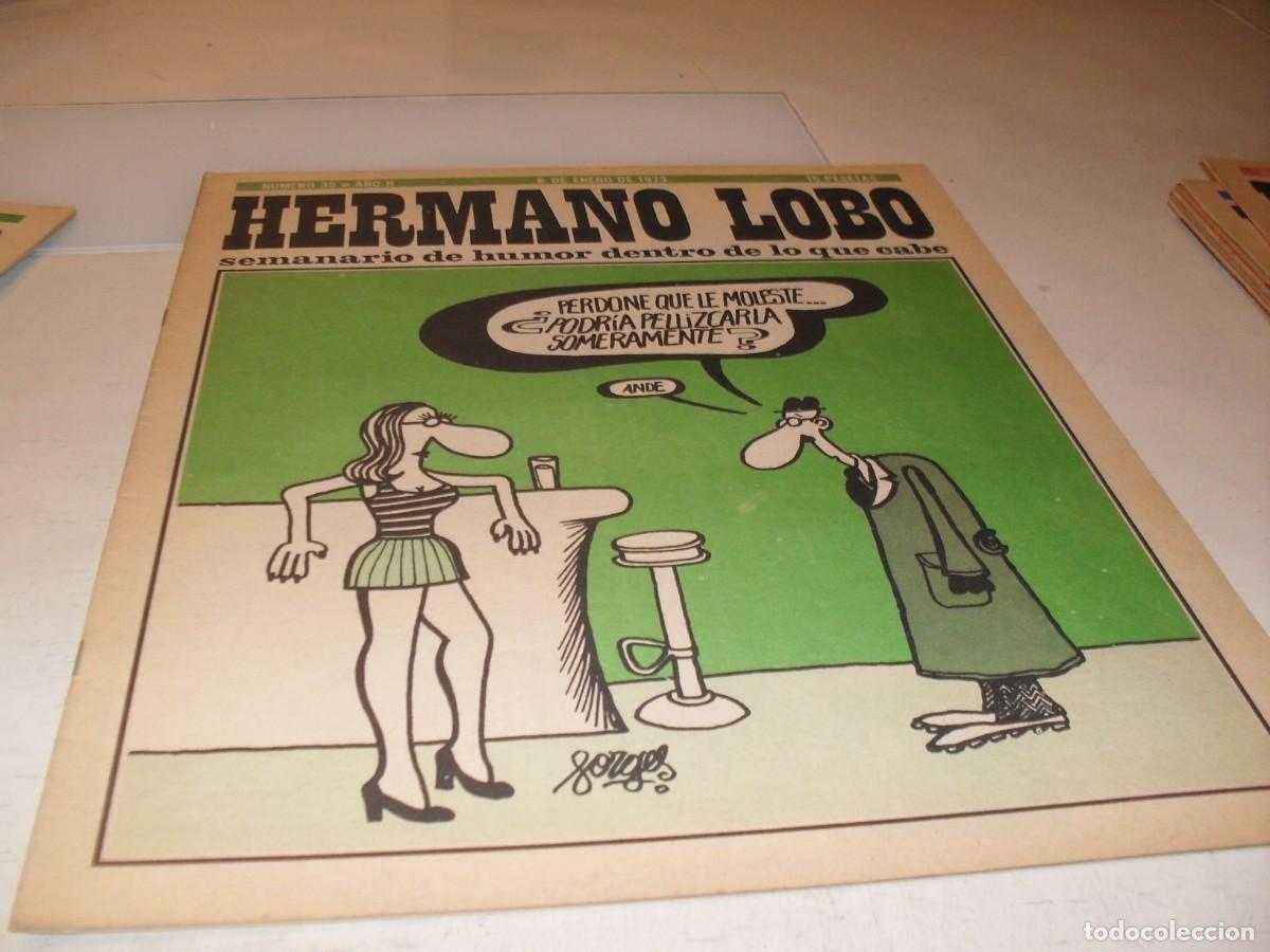 Tebeos: HERMANO LOBO N&ordm; 35,DE 213,HUMOR SATIRICO.PLEYADES EDITORES,1972