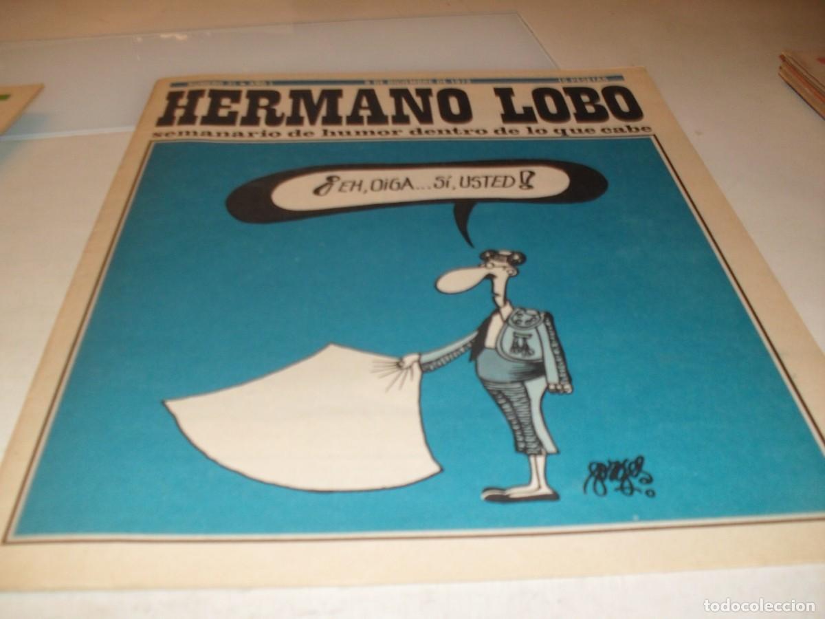 Tebeos: HERMANO LOBO N&ordm; 31,DE 213,HUMOR SATIRICO.PLEYADES EDITORES,1972