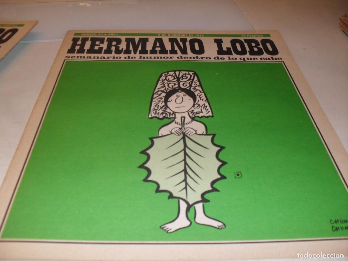 Tebeos: HERMANO LOBO N&ordm; 30,DE 213,HUMOR SATIRICO.PLEYADES EDITORES,1972