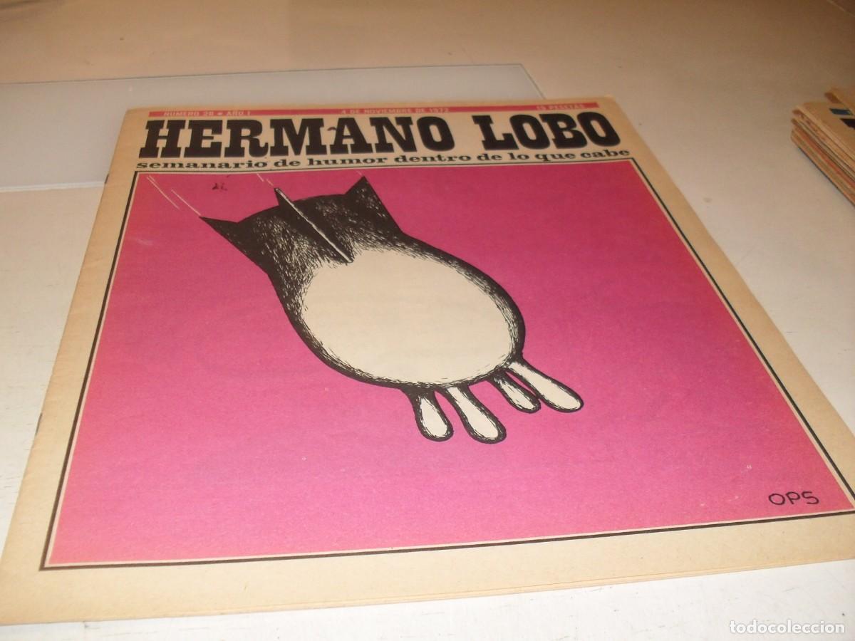 Tebeos: HERMANO LOBO N&ordm; 26,DE 213,HUMOR SATIRICO.PLEYADES EDITORES,1972