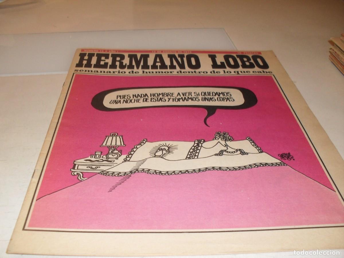 Tebeos: HERMANO LOBO N&ordm; 14,DE 213,HUMOR SATIRICO.PLEYADES EDITORES,1972