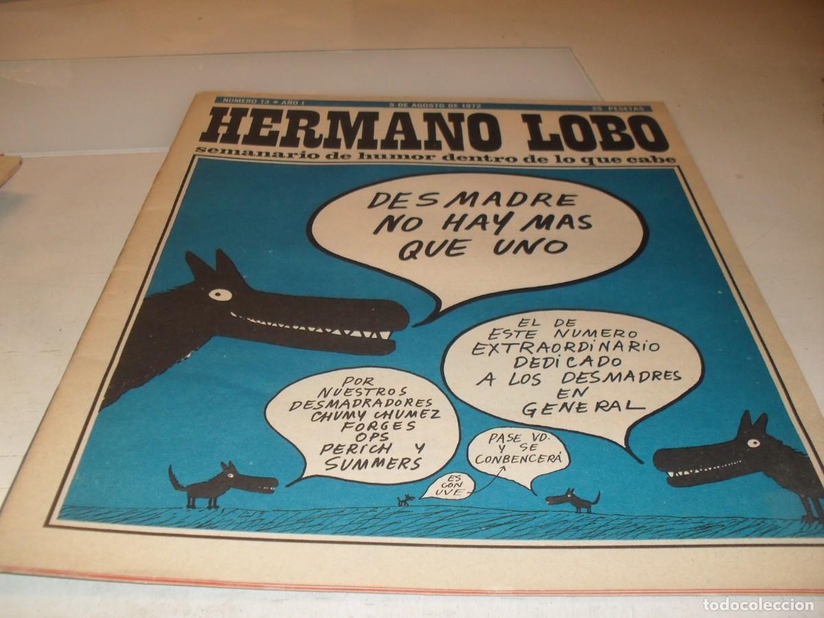 Tebeos: HERMANO LOBO N&ordm; 13,N&ordm; EXTRA DEDICADO A LOS DESMADRES,DE 213,HUMOR SATIRICO.PLEYADES EDITORES,1972