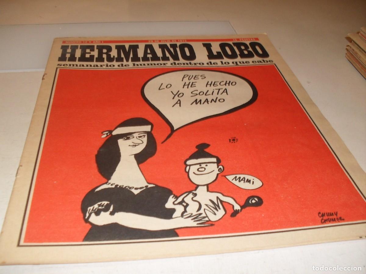 Tebeos: HERMANO LOBO N&ordm; 12,DE 213,HUMOR SATIRICO.PLEYADES EDITORES,1972