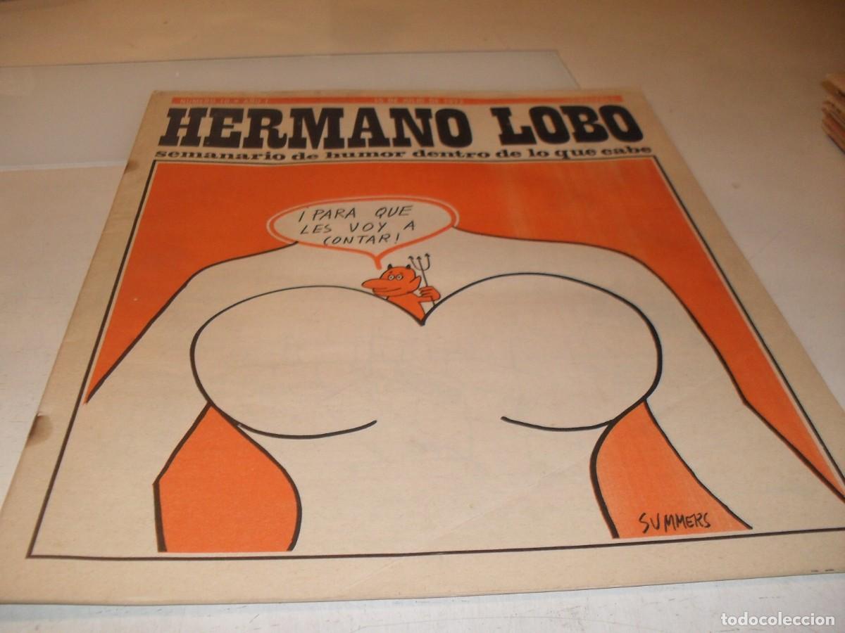 Tebeos: HERMANO LOBO N&ordm; 10,DE 213,HUMOR SATIRICO.PLEYADES EDITORES,1972