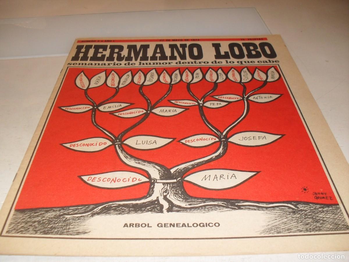 Tebeos: HERMANO LOBO N&ordm; 3,PRIMEROS N&ordm;,DE 213,HUMOR SATIRICO.PLEYADES EDITORES,1972