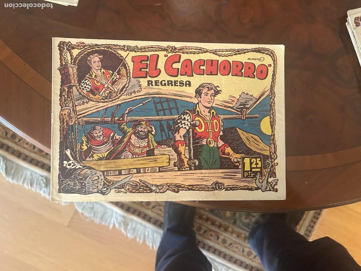 Tebeos: el cachorro n&ordm; 88 correcto