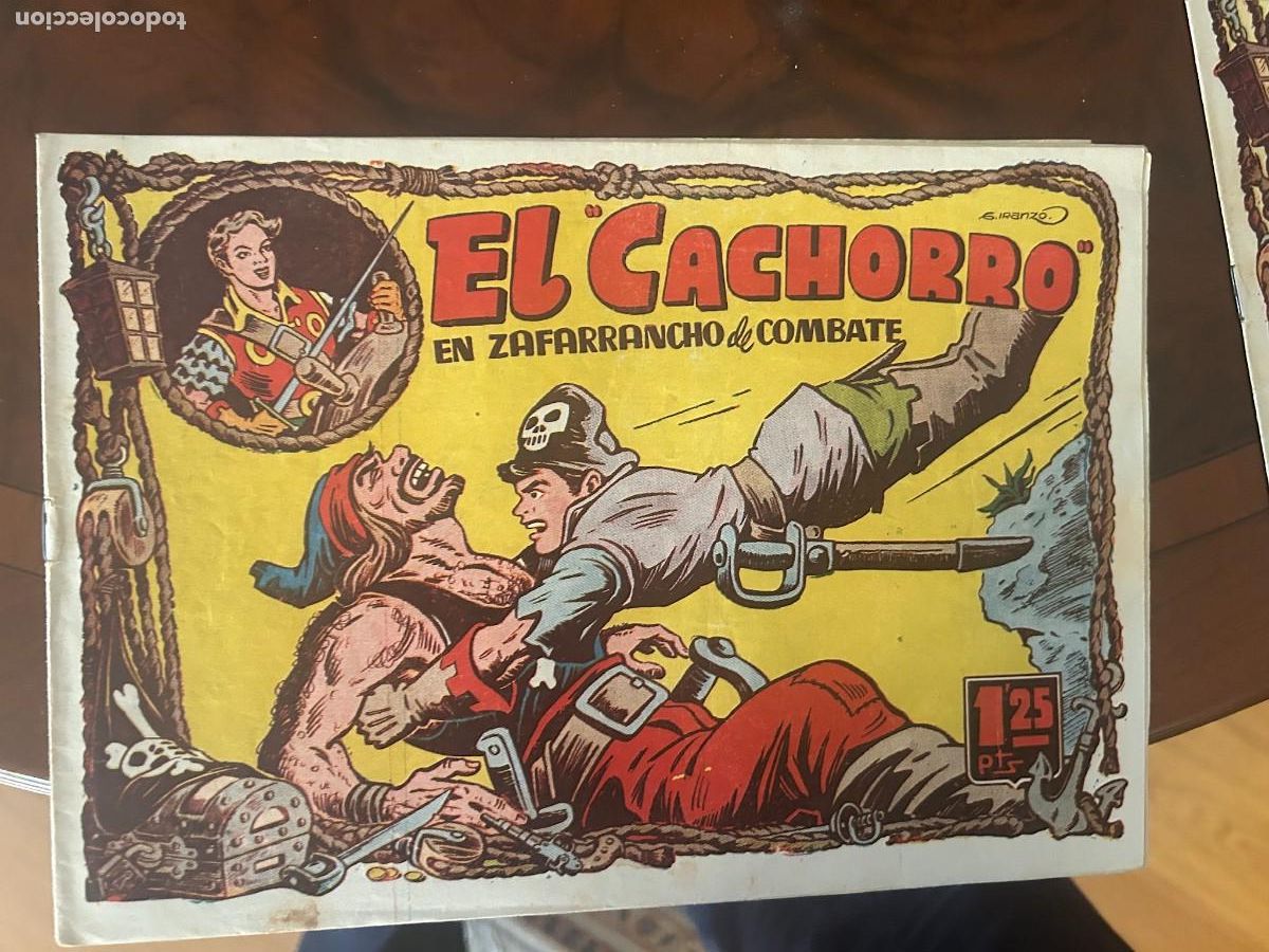 Tebeos: el cachorro n&ordm; 100 correcto