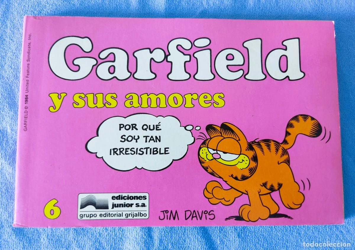 Tebeos: GARFIELD Y SUS AMORES N&ordm; 6 EDICIONES JUNIOR