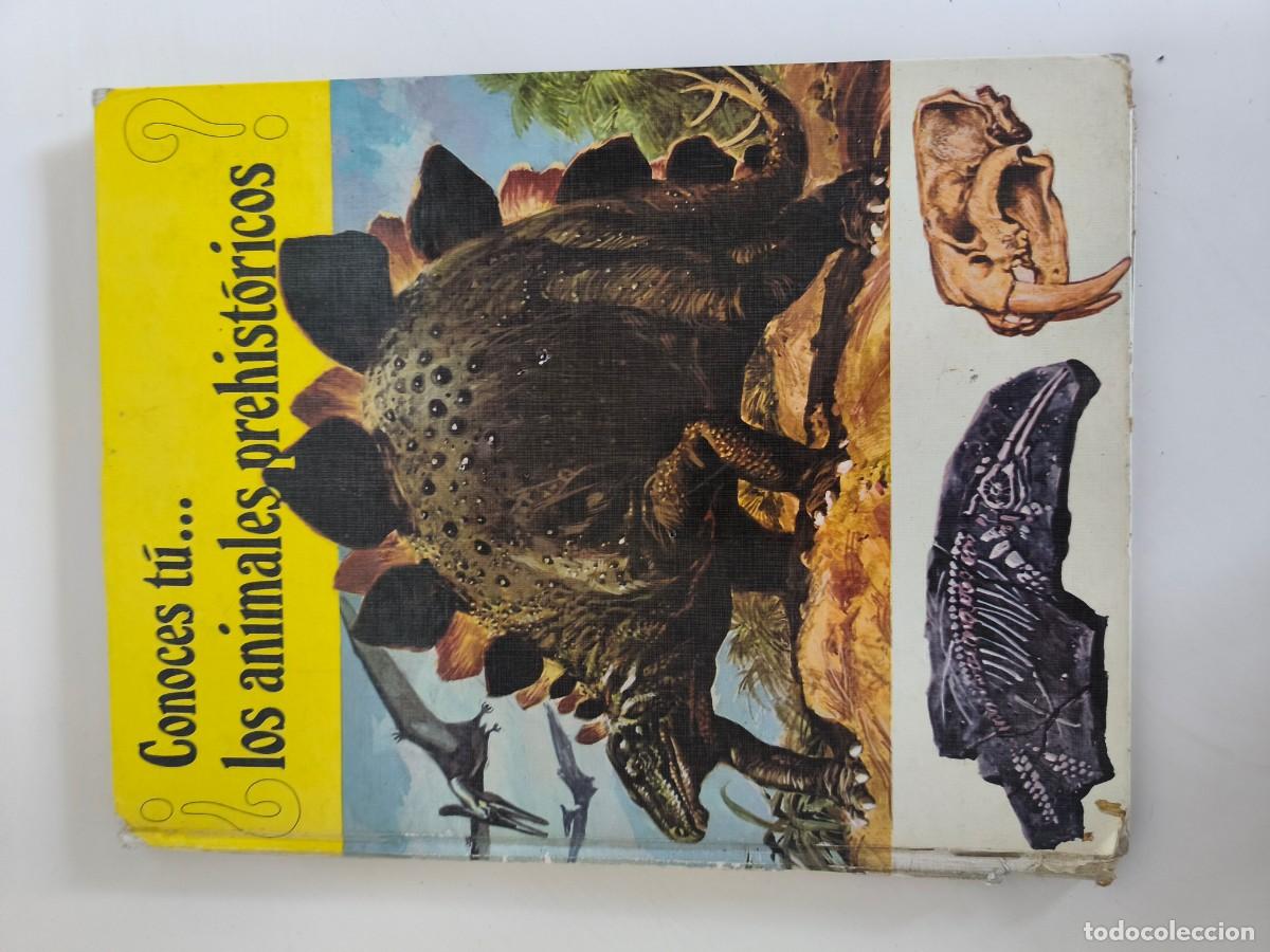 Tebeos: CONOCES T&Uacute;... LOS ANIMALES PREHIST&Oacute;RICOS