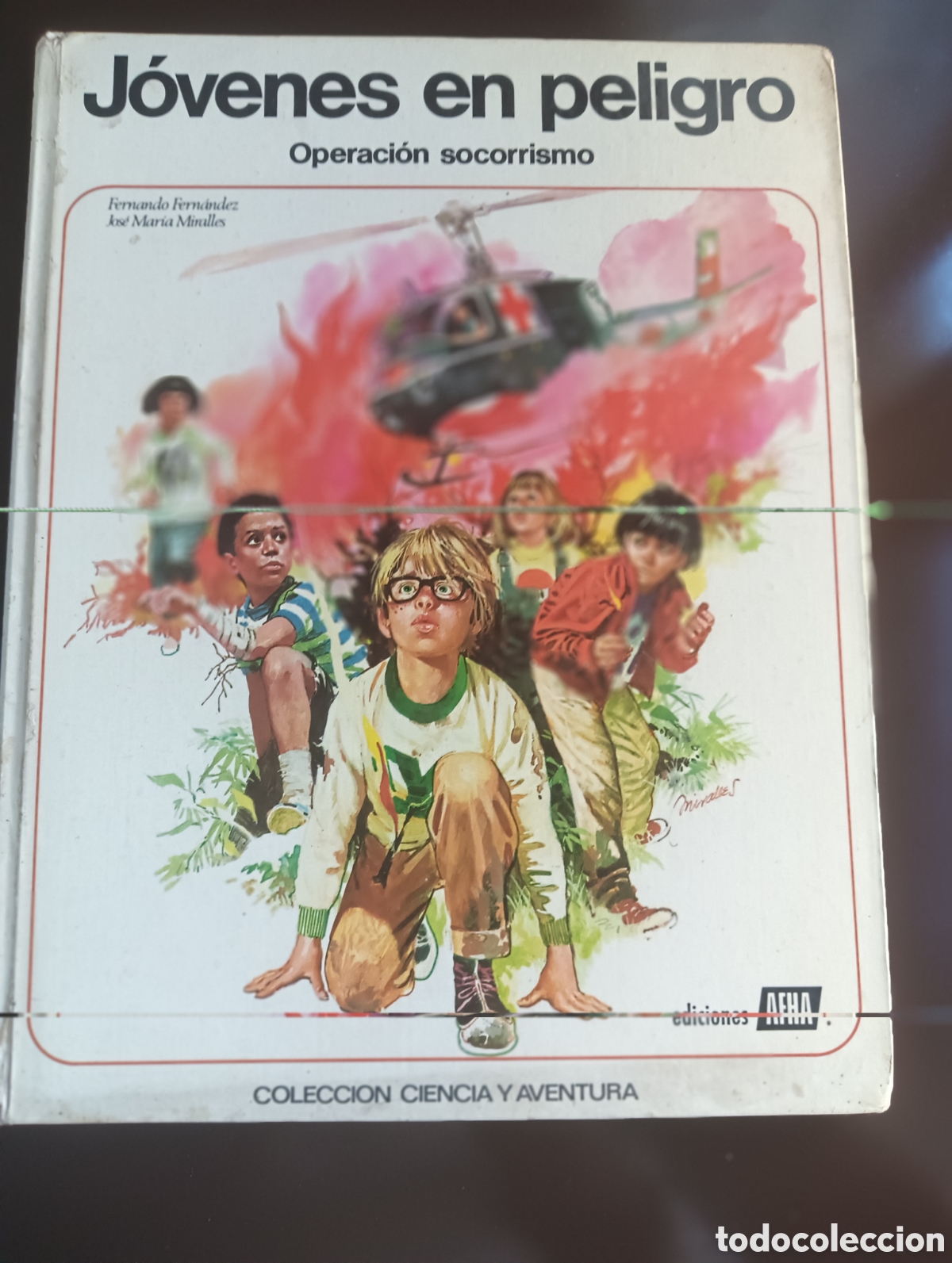 Comics: JOVENES EN PELIGRO FERNANDO FERNANDEZ JOSE MARIA MIRALLES EDICIONES AFHA 1977