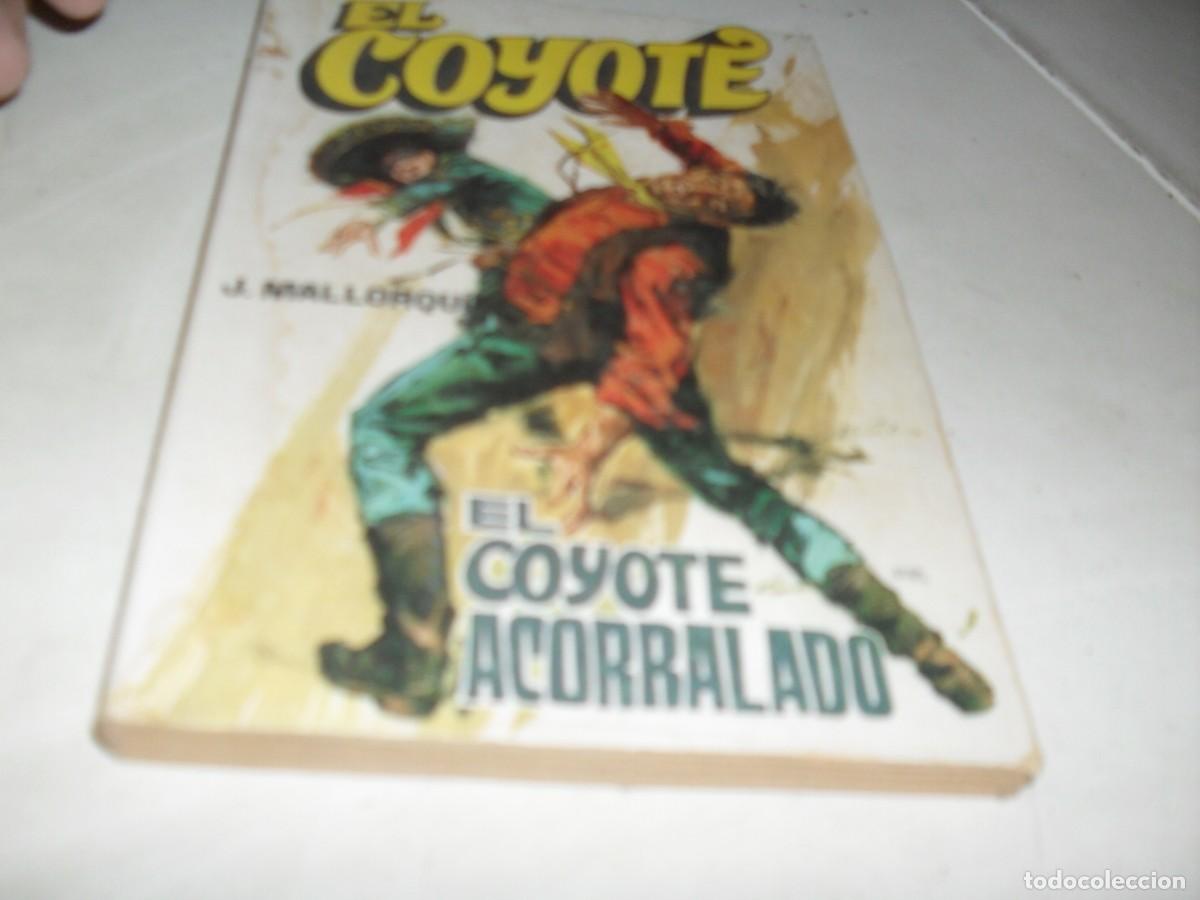 Comics: NOVELA EL COYOTE N&ordm; 6,EL COYOTE ACORRALADO,CON DIBUJOS DE R.DE LA FUENTE,192.FAVENCIA,1973