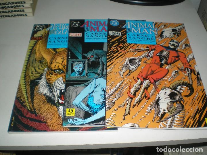 Tebeos: ANIMAL MAN - Foto 1