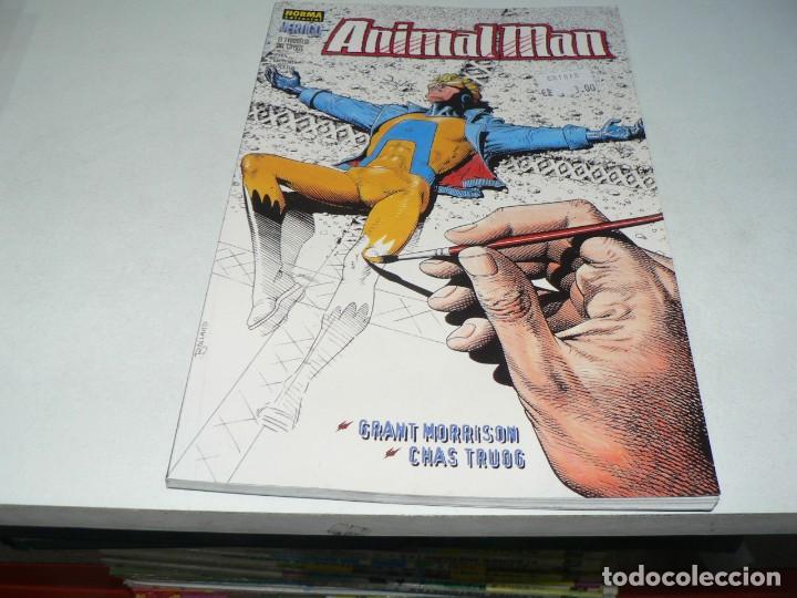 Tebeos: ANIMAL MAN - Foto 1