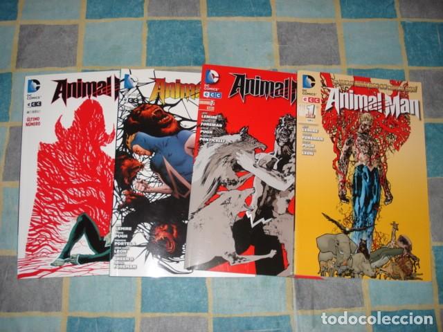 Tebeos: Animal man, 2012, completa, 4 tomos ECC, impecables - Foto 1