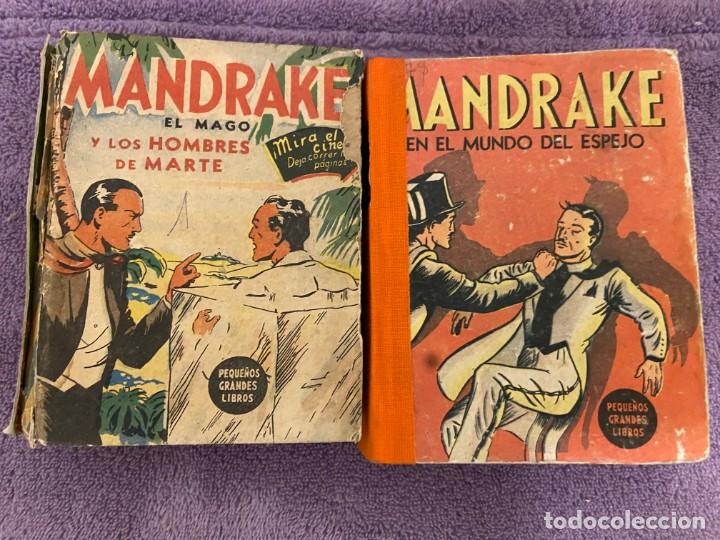 Tebeos: PEQUE&Ntilde;OS GRANDES LIBROS MANDRAKE A&Ntilde;OS 40 - Foto 1
