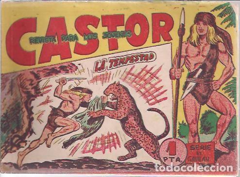 Tebeos: CASTOR (MAGA) 1962-1963 LOTE - Foto 11