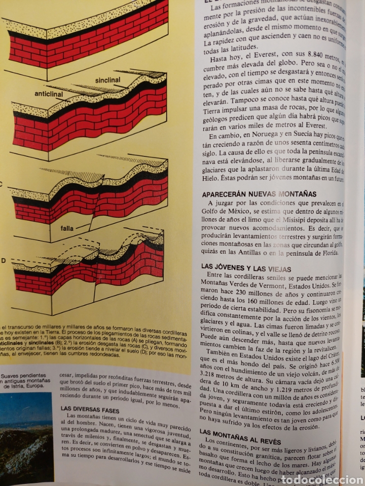 Tebeos: FASCICULO DEL LIBRO GORDO DE PETETE, TOM&Oacute; AMARILLO - Foto 3