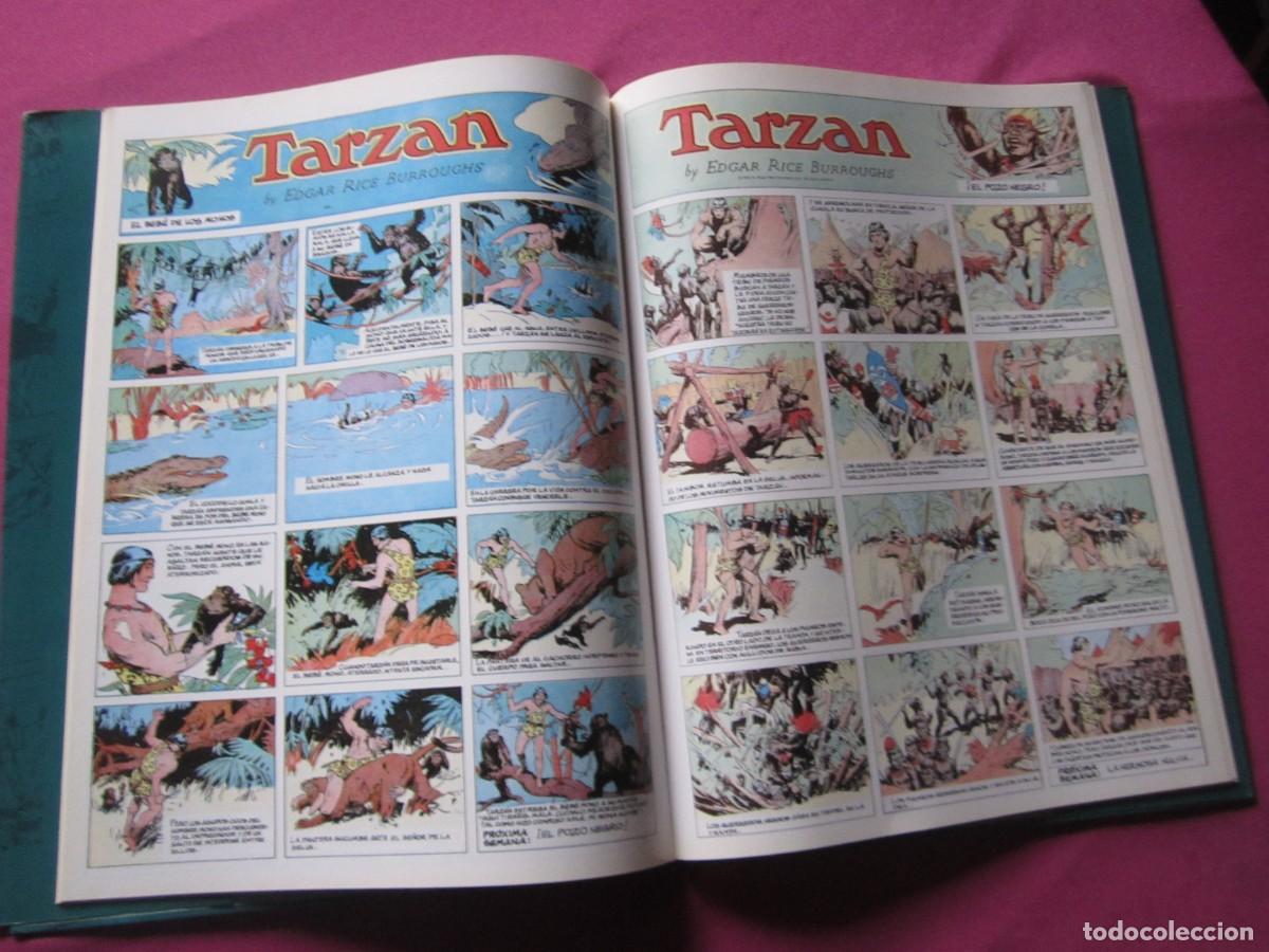 Tebeos: TARZAN 4 TOMOS COMPLETA EDICIONES B. L5 V - Foto 4