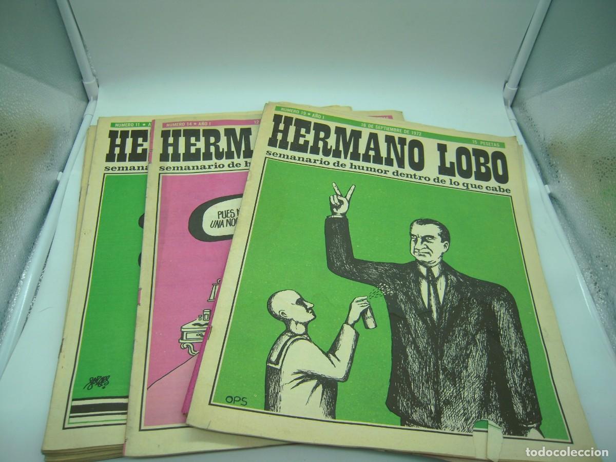 Tebeos: hermano lobo 11 n&ordm; - Foto 1