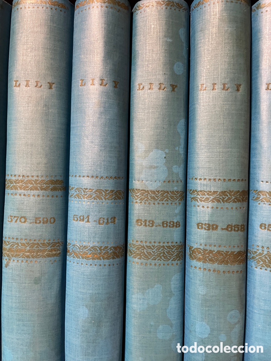 Tebeos: Lily - Foto 6