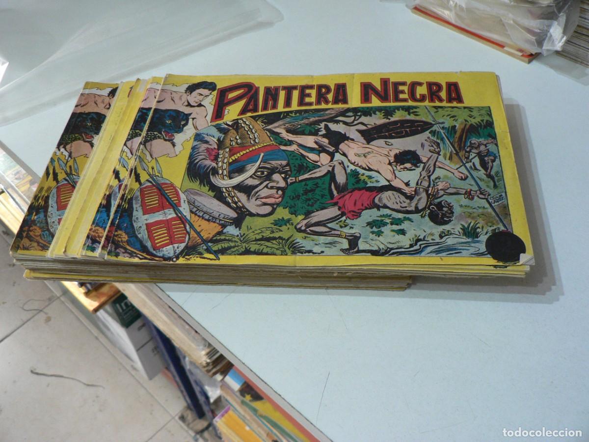 Tebeos: PANTERA NEGRA 1&ordf; EDICION ESTADO IMPECABLE COMPLETA - Foto 1