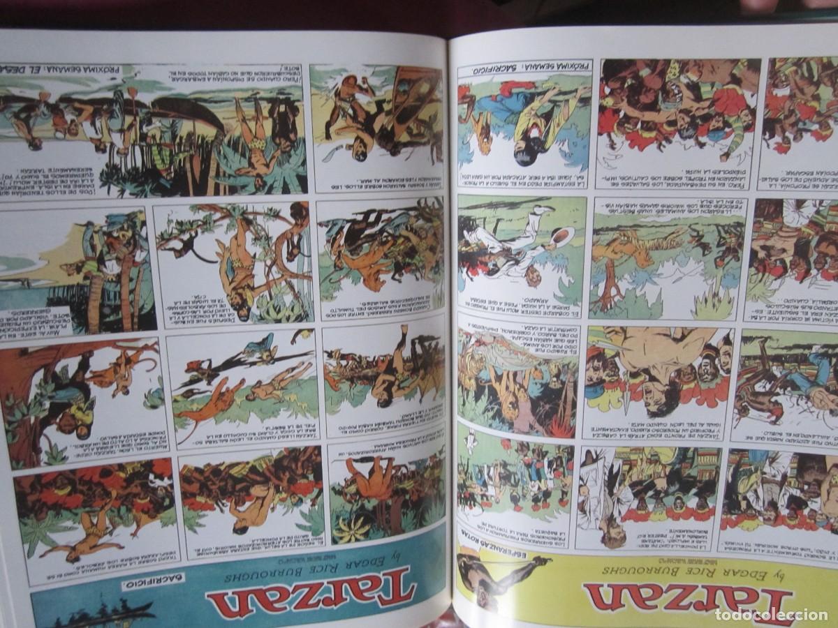 Tebeos: TARZAN 4 TOMOS COMPLETA EDICIONES B. L5 V - Foto 8