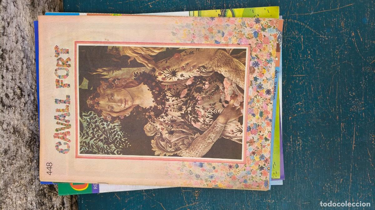 Tebeos: Lot de 6 comics Cavall fort collection - Foto 2