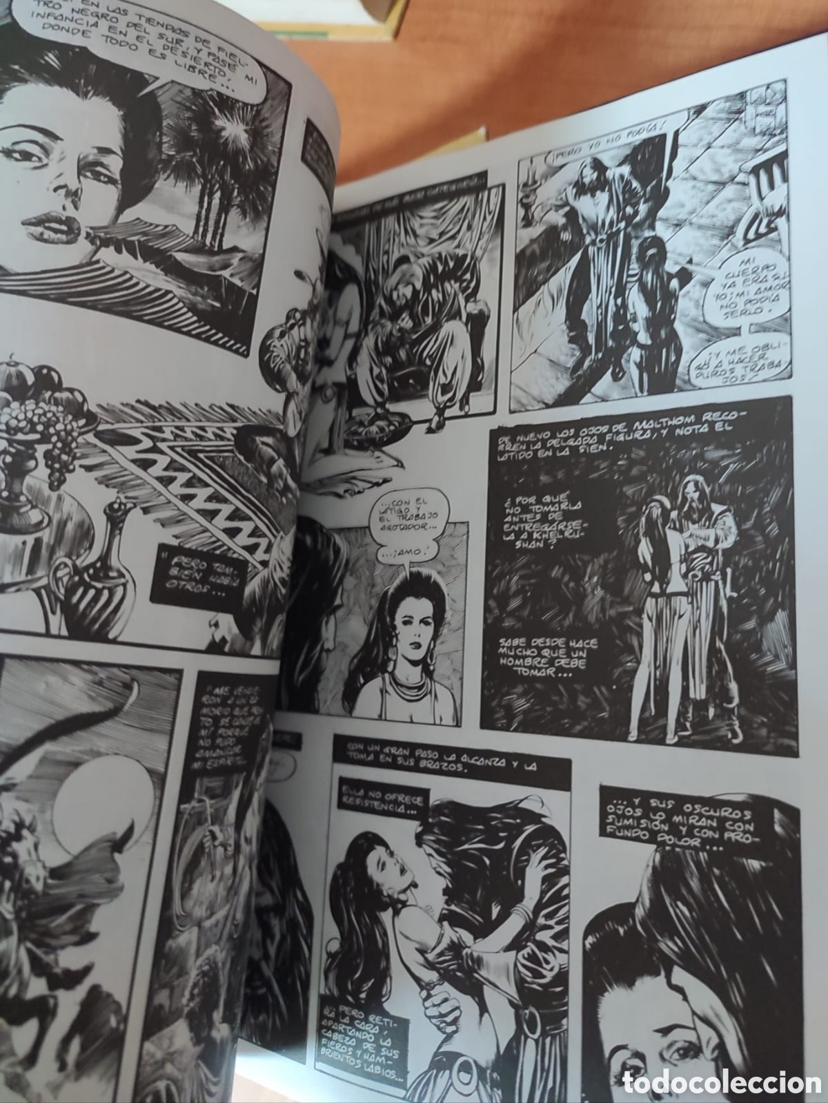 Tebeos: Super Conan Completa , primera y segunda edici&oacute;n - Foto 3