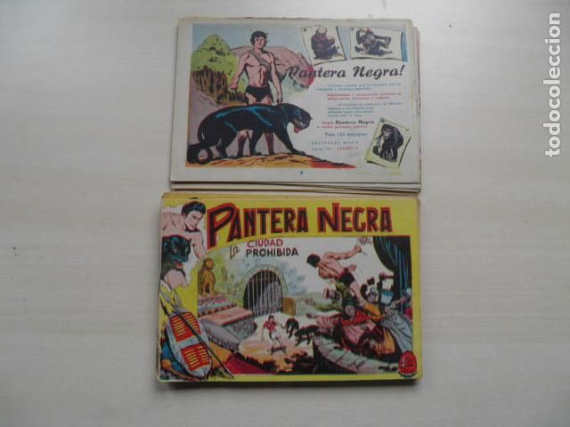 Tebeos: pantera negra, editorial maga - Foto 8