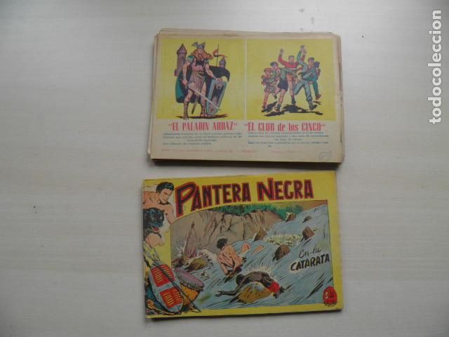 Tebeos: pantera negra, editorial maga - Foto 16