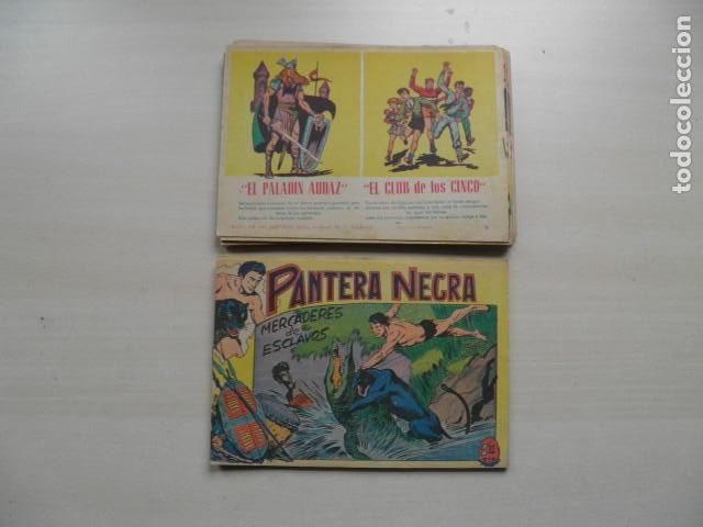 Tebeos: pantera negra, editorial maga - Foto 17