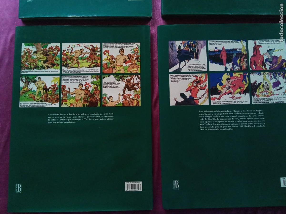 Tebeos: TARZAN 4 TOMOS COMPLETA EDICIONES B. L5 V - Foto 12