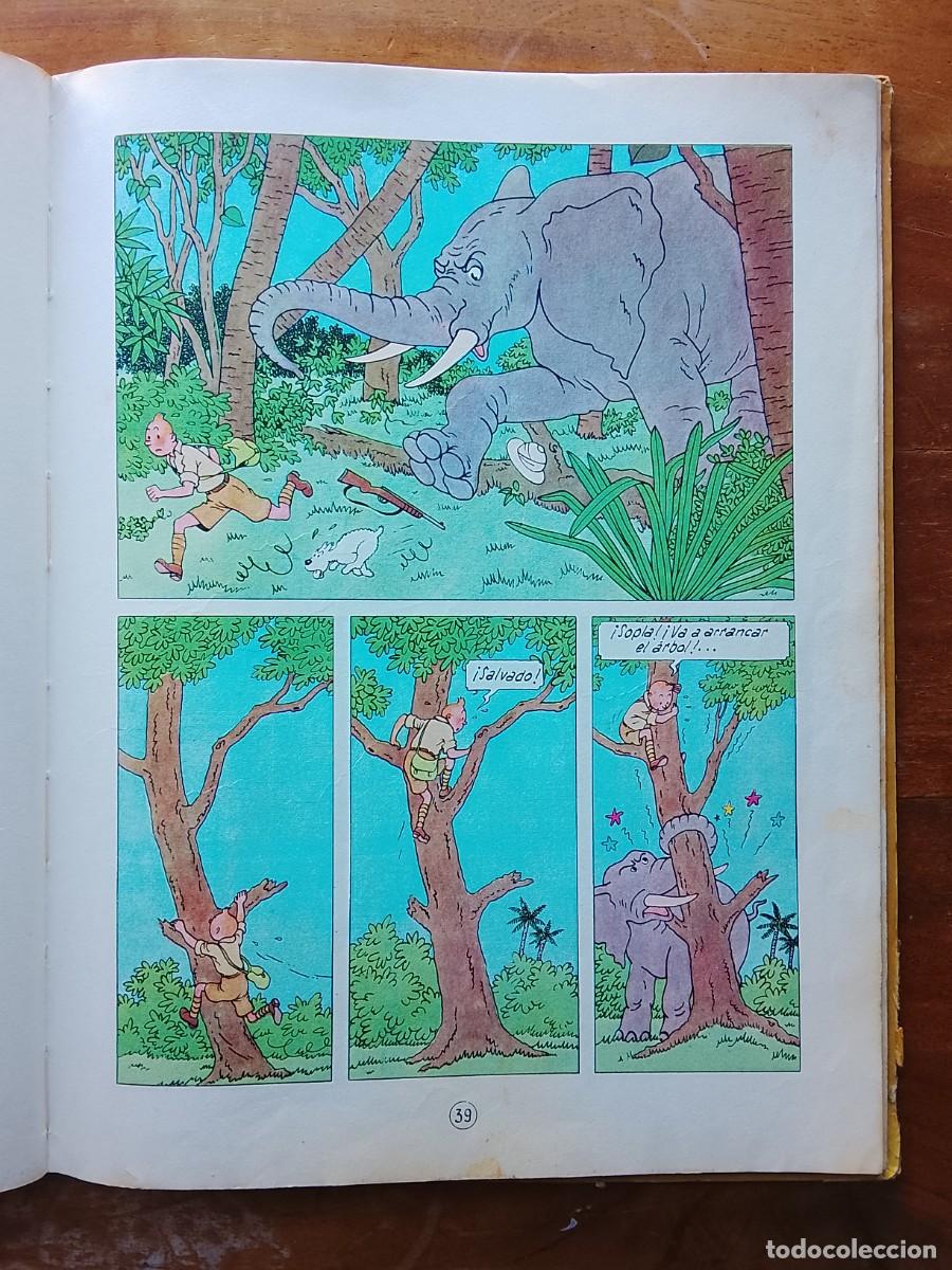 Tebeos: Aventuras de Tint&iacute;n en el Congo - Foto 5