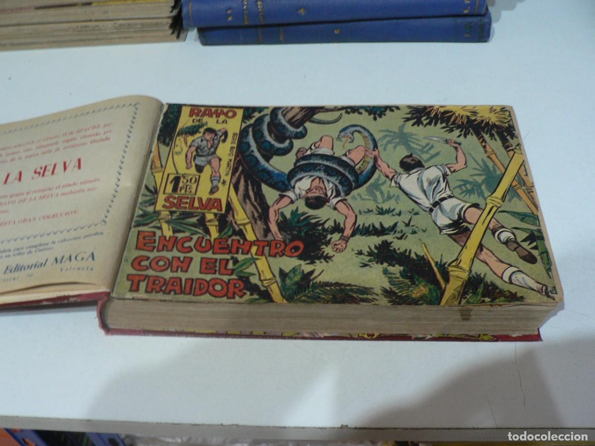 Tebeos: LOTE DE DEL 2 AL 50 DEL RAYO DE LA SELVA