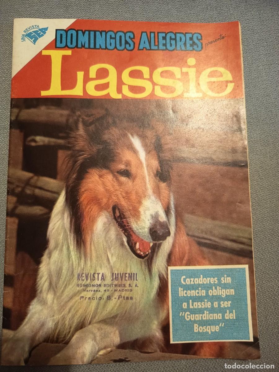 Tebeos: Colecci&oacute;n Domingos Alegres. Lassie. N&deg;307. Tebeos. Colecciones Novaro