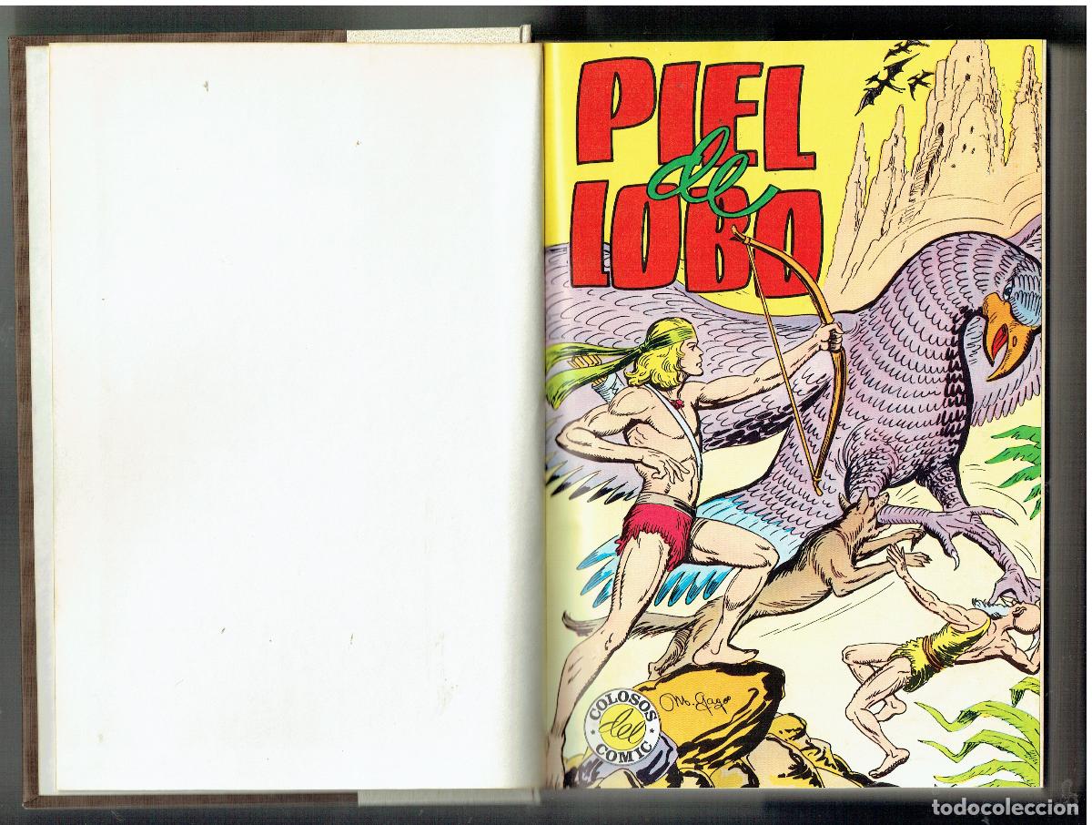 Tebeos: PIEL DE LOBO. COMPLETA. 20 NROS. ENCUADERNADA EN UN TOMO. VALENCIANA, 1980.(B/25 RUM)