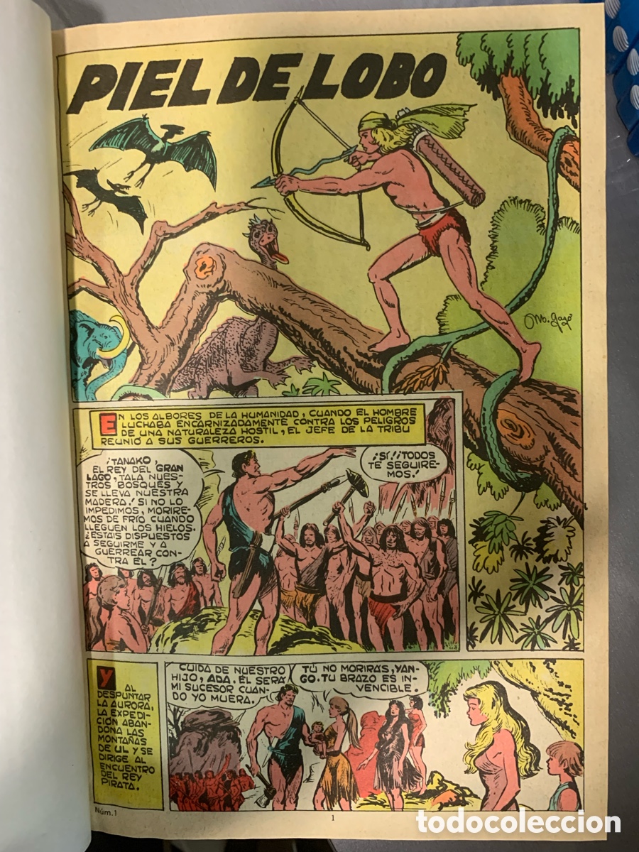 Tebeos: Tomo c&oacute;mics Piel de Lobo - Foto 3