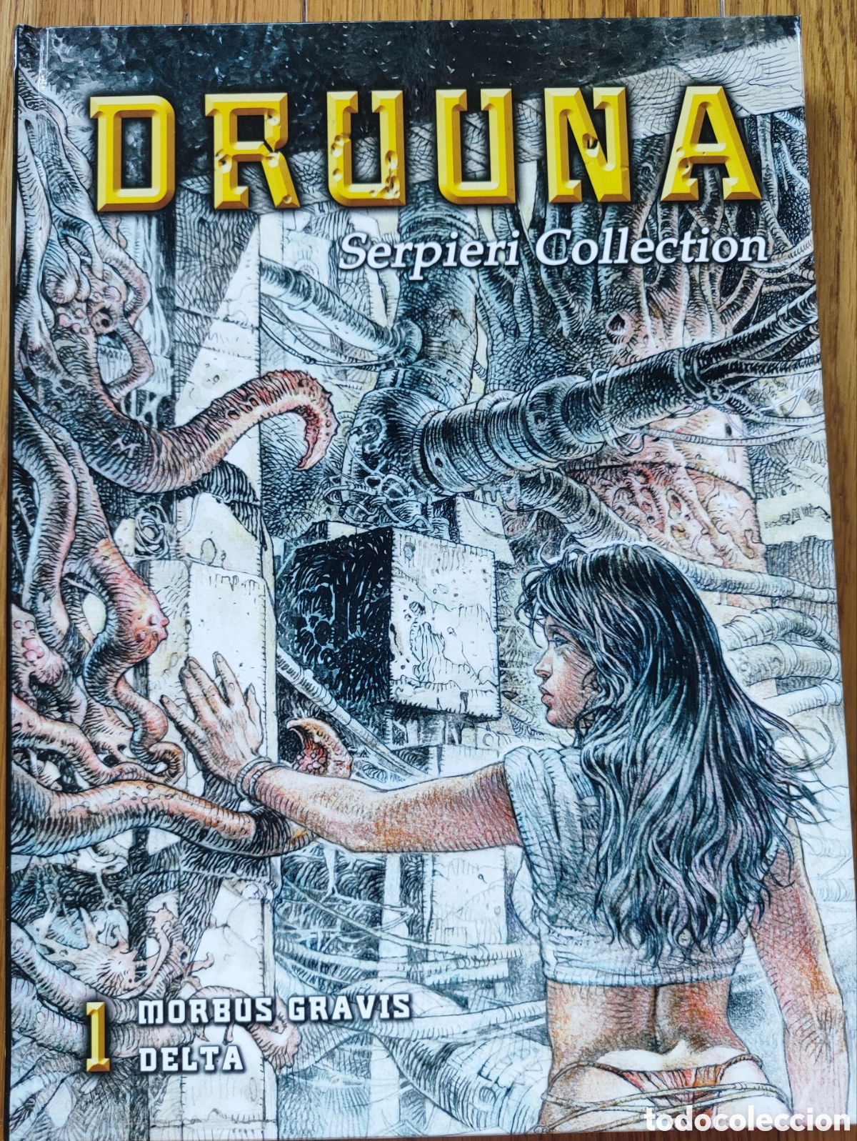 Tebeos: Lote Druuna (8 libros), Serpieri - Foto 7