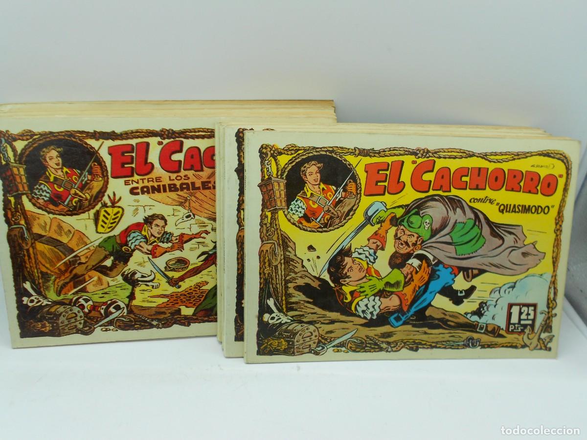 Livros de Banda Desenhada: el cachorro del 1 al 8 reedicion a&ntilde;os 80 tapa blanda