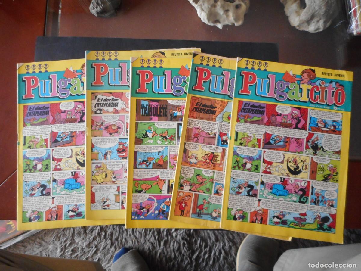 Livros de Banda Desenhada: LOTE DE 5 PULGARCITOS / C-16