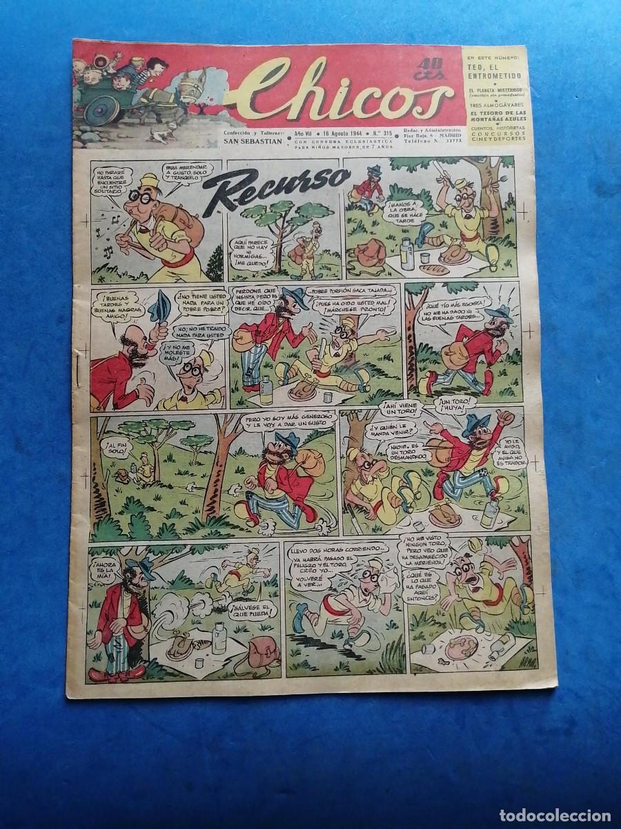 Tebeos: C&oacute;mic colecci&oacute;n CHICOS n&uacute;mero 315 - Foto 1