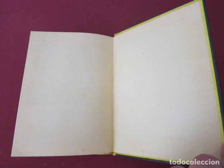 Tebeos: Flash Gordon, los chicos del espacio. Dan Barry EDITORIAL DOLAR - Foto 8