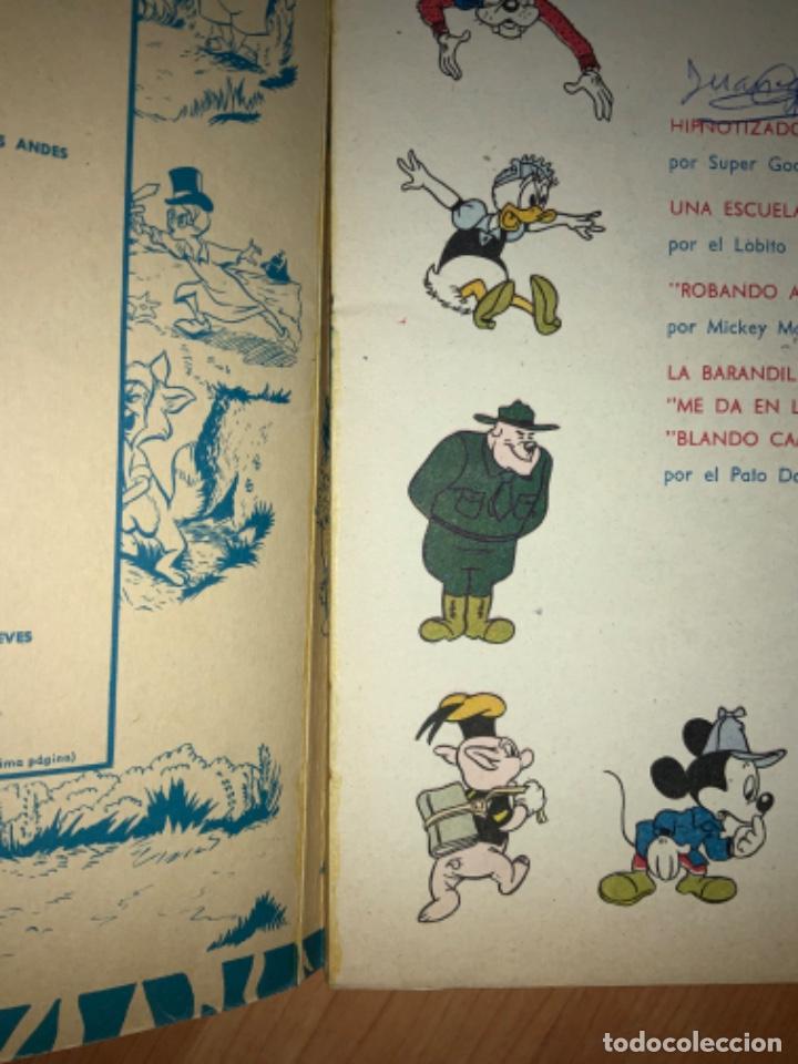 Tebeos: COLECCI&Oacute;N DUMBO N 70 EDICIONES ERSA WALT DISNEY - Foto 5