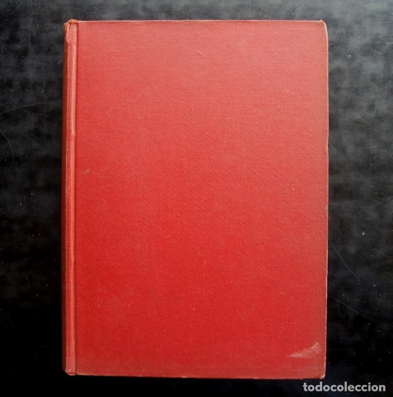Tebeos: 4 Colecci&oacute;n Dumbo, Walt Disney, 1968 - Foto 1