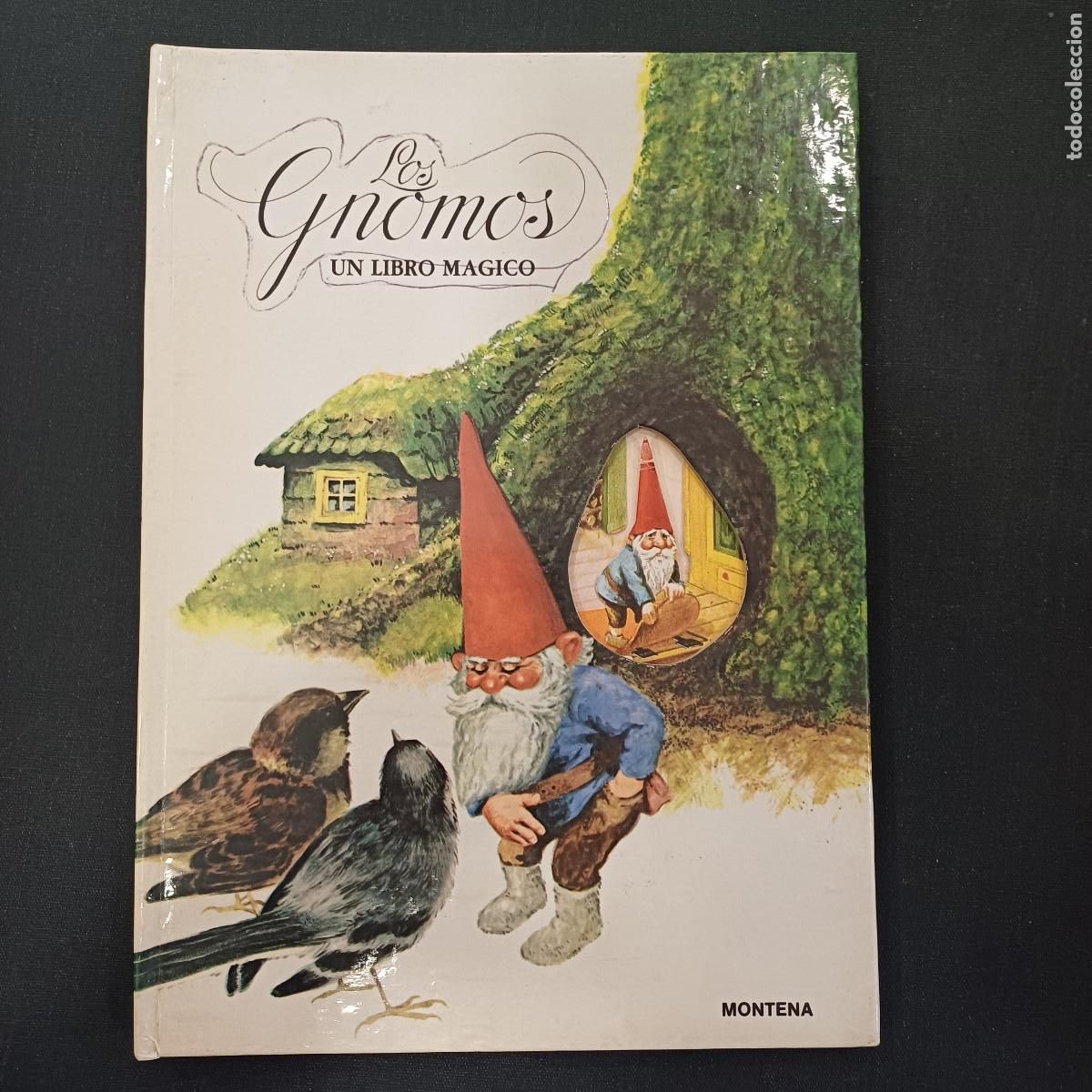 Tebeos: LOS GNOMOS/UN LIBRO MAGICO/MONTENA. - Foto 1