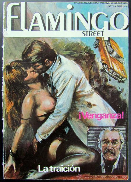 Tebeos: N&ordm;  1  FLAMINGO STREET   COMIC - Foto 1