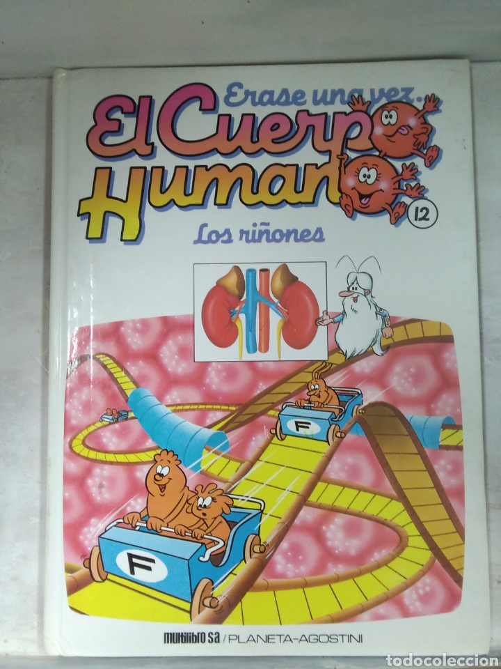 Tebeos: EL CUERPO HUMANO, LOS RI&Ntilde;ONES - Foto 1