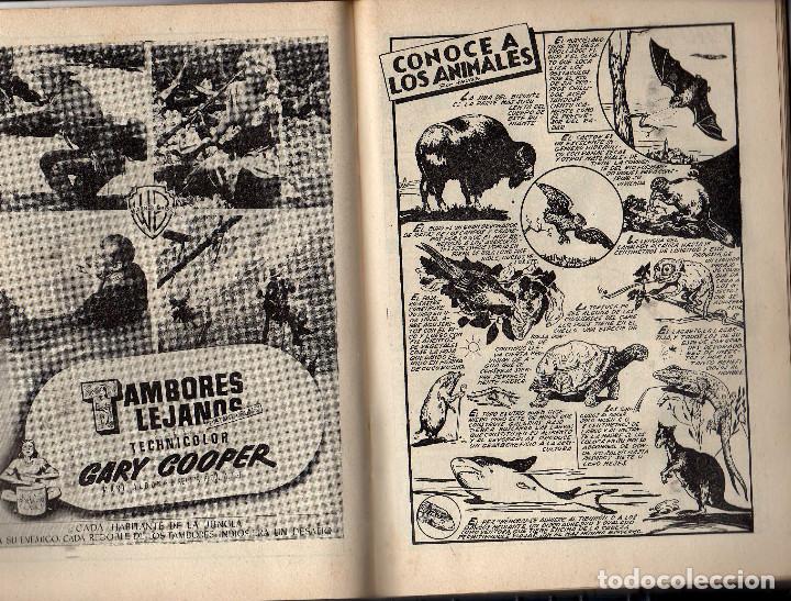 Tebeos: ALMANAQUE PAU-PI PARA 1953 - Foto 3
