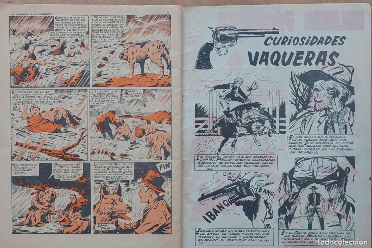 Tebeos: RIN TIN TIN ALMANAQUE 1965 - Foto 6
